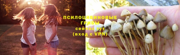 молекула духа Алексин