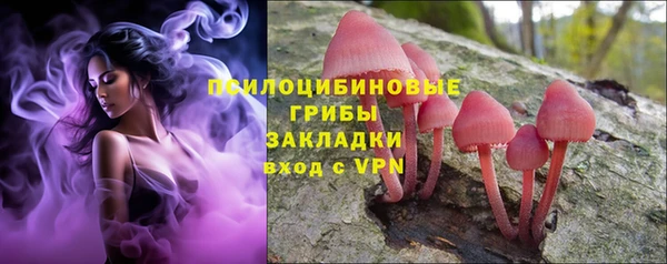 дмт Ельня
