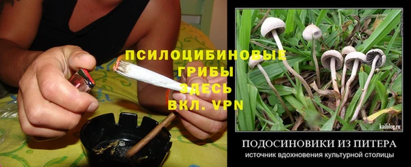 гашик Алексеевка